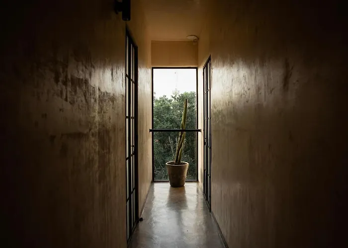 Botanica Tulum